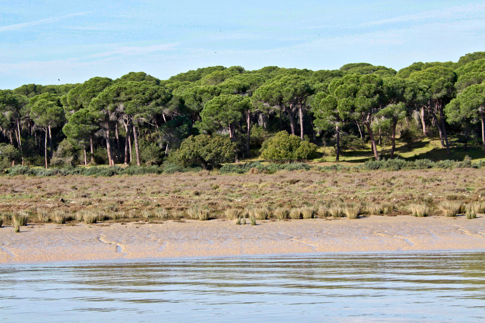 entorno, playas y parajes de mazagon huelva