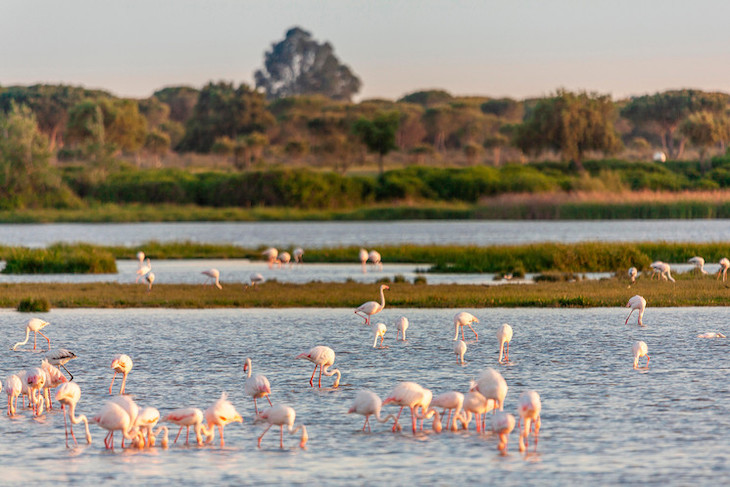 entorno, playas y parajes de mazagon huelva