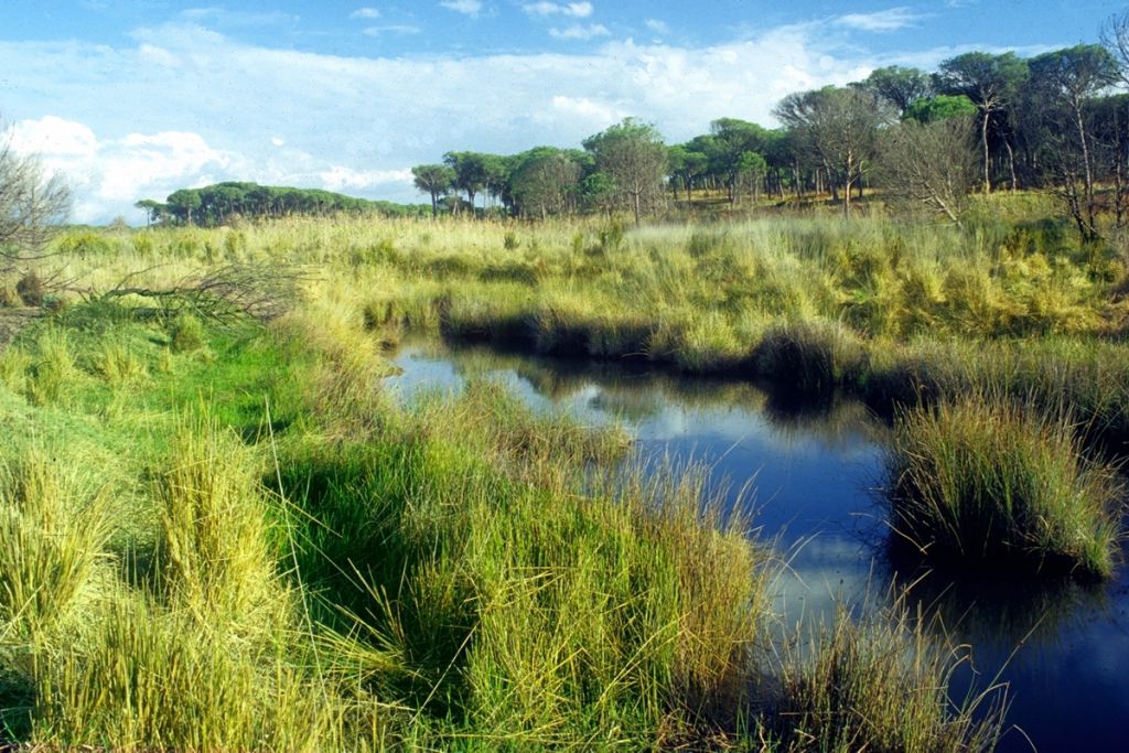 entorno, playas y parajes de mazagon huelva